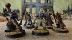 Full Painted Imperial Guard Army