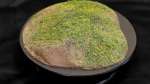 How to Make a Basic Green Hill