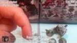 Deff Head Dice Subscriber Contest