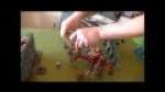Orks vs Chaos Space Marine Warhammer 40k Battle Report 3 Part 1 