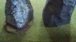 How to make nice rock terrain