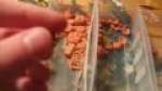 Vlog Episode 4