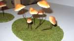 mushrooms