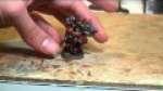 Chosen CSM