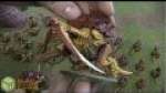 Orks vs Tyranids Warhammer 40k BATREP Part  1