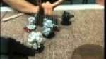 Warmachine & Hordes: Arena Combat