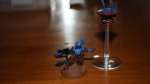 Pathfinder shas