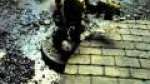 Designation Culling 7