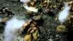 CULLING 7