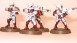 Tau Fire Warriors WIP