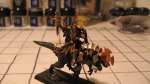 Dark Elf Dreadlord on Cold One