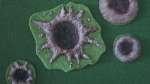 Crater terrain