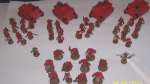 Project Blood Angels