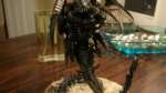 Trygon bigger pics