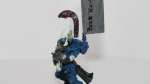 Eldar dire avenger