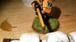 Tau Fire Warrior