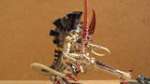 My Hive Tyrant