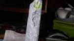 the broken pillar/rune