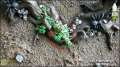 Warhammer Fantasy Painting: Orc & Goblin Arachnarok