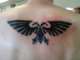 Imperial Aquila Tattoo