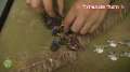 Beat Matt Batrep: Eldar vs Tyranids Part 4