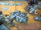 Lord of the Rings Battle Report