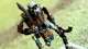 Fantasy History:  Tomb Kings
