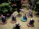 LOTR Forest Project