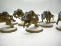 Space Wolves: Fenrisian Wolves