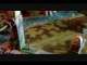 Warmachine battle story: Act I-Invasion of the Dead