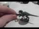 Test Scheme: plz tell me what u think =)