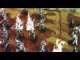 Circle of Wood Elves project log&tutorials
