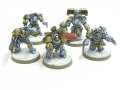 Space Wolves Terminators