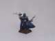 Dark Elf Assassin
