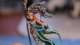 How to Paint Finecast Wood Elf Spellweaver | Warhammer Fantasy