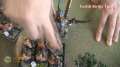Ogres vs Tomb Kings Warhammer Fantasy Battle Report - Part 2/4 - Beat Matt Batrep