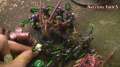 Necrons vs Tyranids Warhammer 40k Battle Report - Part 4/4 - Beat Matt Batrep