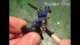How to Paint: Middenheim Handgunners