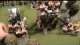 Turns 1 & 2 - Ogre Kingdoms vs Bretonnians - Warhammer Fantasy Battle Report 