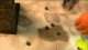 Eldar Corsairs vs. Grey Knights Batrep Part 3