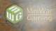 Rules You Get Wrong:  Before the Necron FAQ.