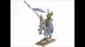 High Elf Mounted Prince