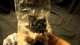 Warmachine 2 player battlebox unboxed