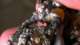 Lets Paint! Space Wolf Biker