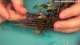 How to paint the Mortis Engine? Warhammer Fantasy Vampire Counts