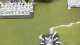 WHFB Battle Report: 2800pts Orcs & Goblins vs Beastmen