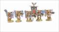 Blood Angels Sanguinary Guard