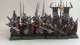  Dark Elf Spearmen