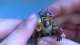 How To Paint Imperial Fist