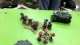 40k Battle Report: 1750pts Blood Angels vs Dark Angels